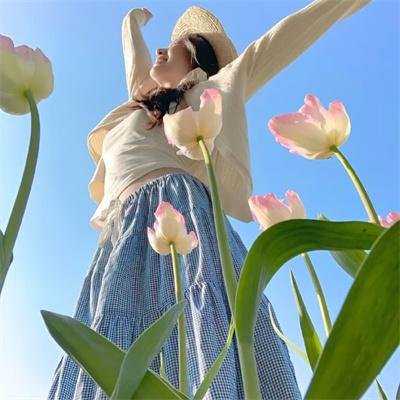 伤物语3:冷血篇